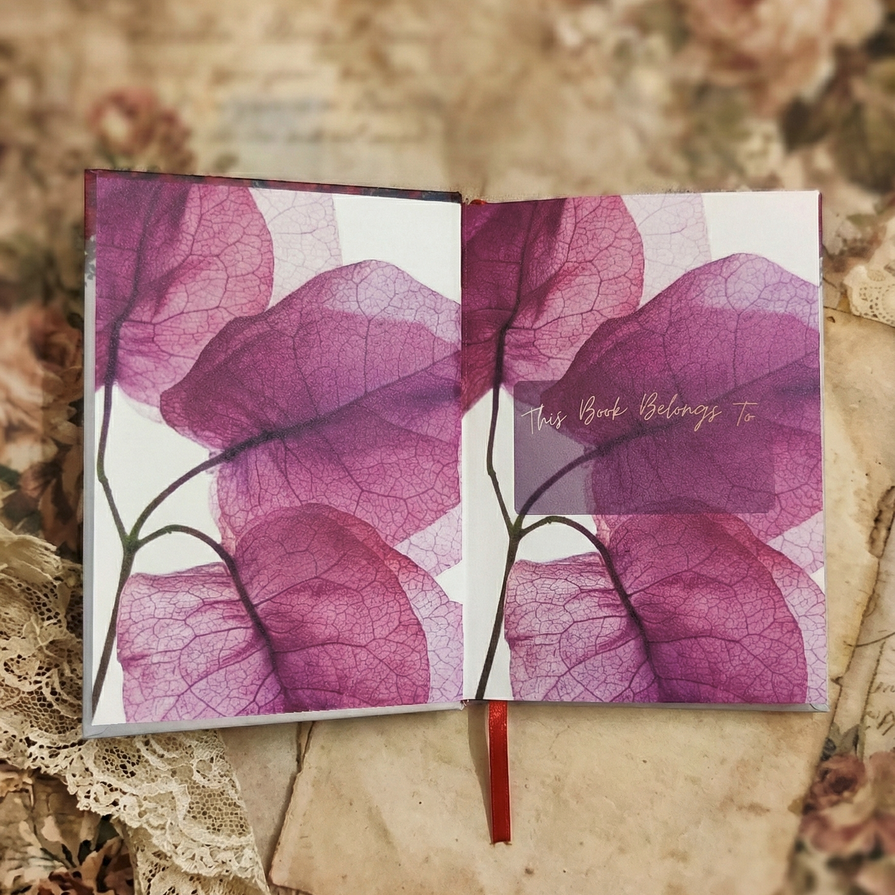 Mehrbaan – The Old Soul Notebook